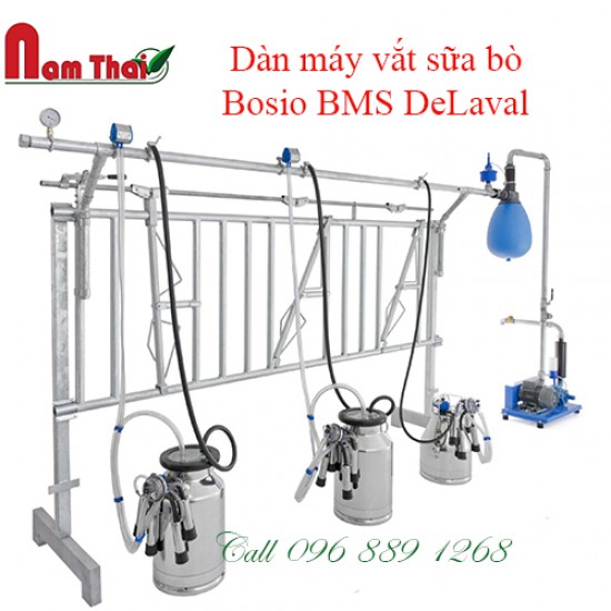 Dàn máy vắt sữa bò Bosio BMS DeLaval